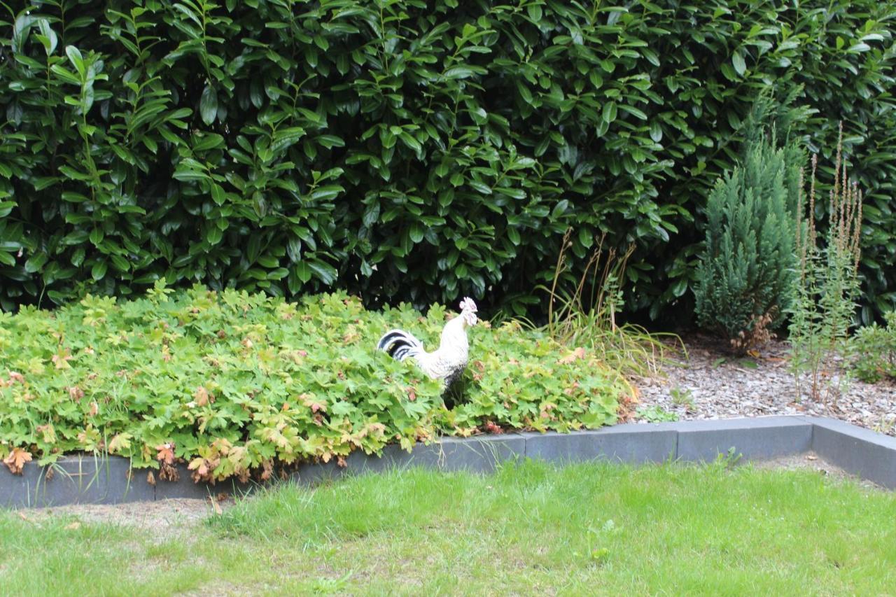 B&B Nieuwleusen Buitenkant foto